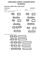 LITERACY (1).pdf